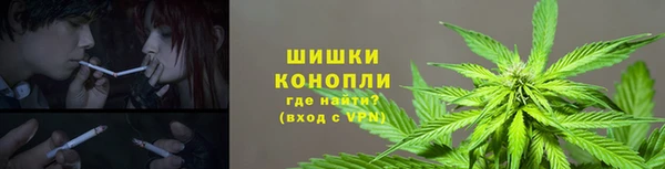 spice Волосово