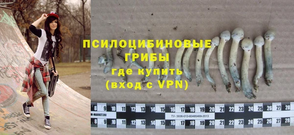 spice Волосово