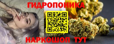 гидра Гусев