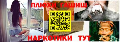 стаф Дубна
