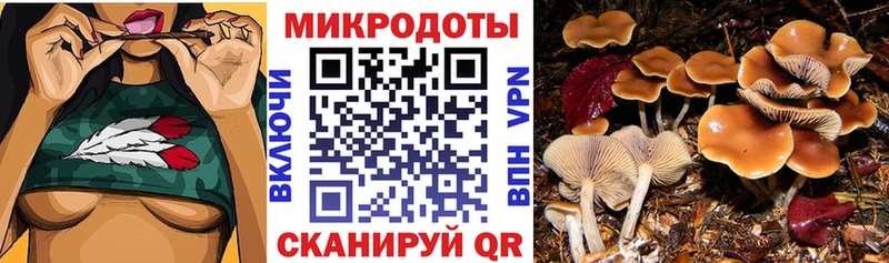 купить  сайты  Заводоуковск  Галлюциногенные грибы Magic Shrooms 