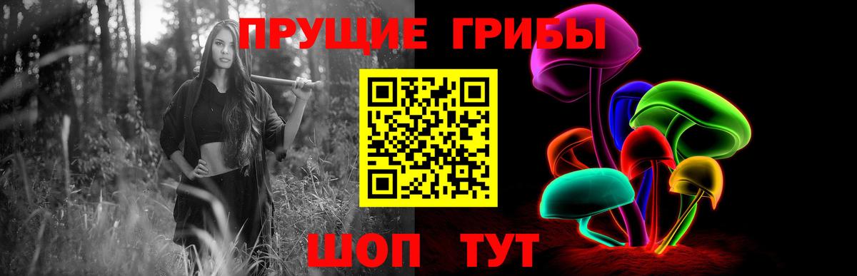 Псилоцибиновые грибы GOLDEN TEACHER Заводоуковск